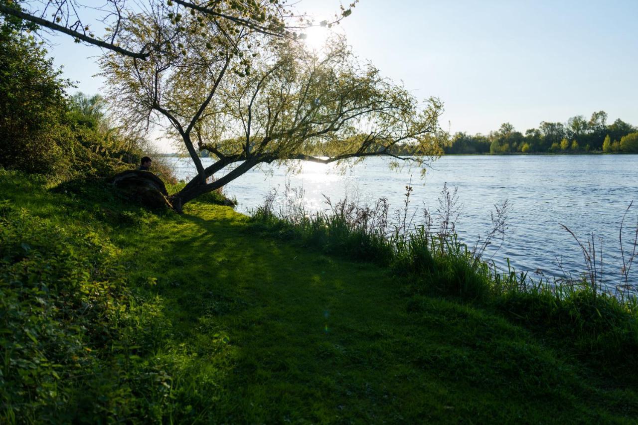 Saint-Dyé-sur-Loire Dome Avec Vue Sur Loire Proche De Chambordヴィラ エクステリア 写真